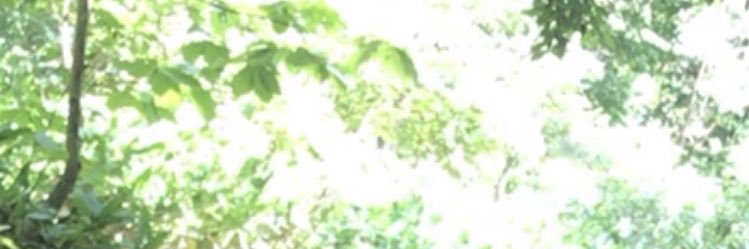 akinari1023's profile banner image