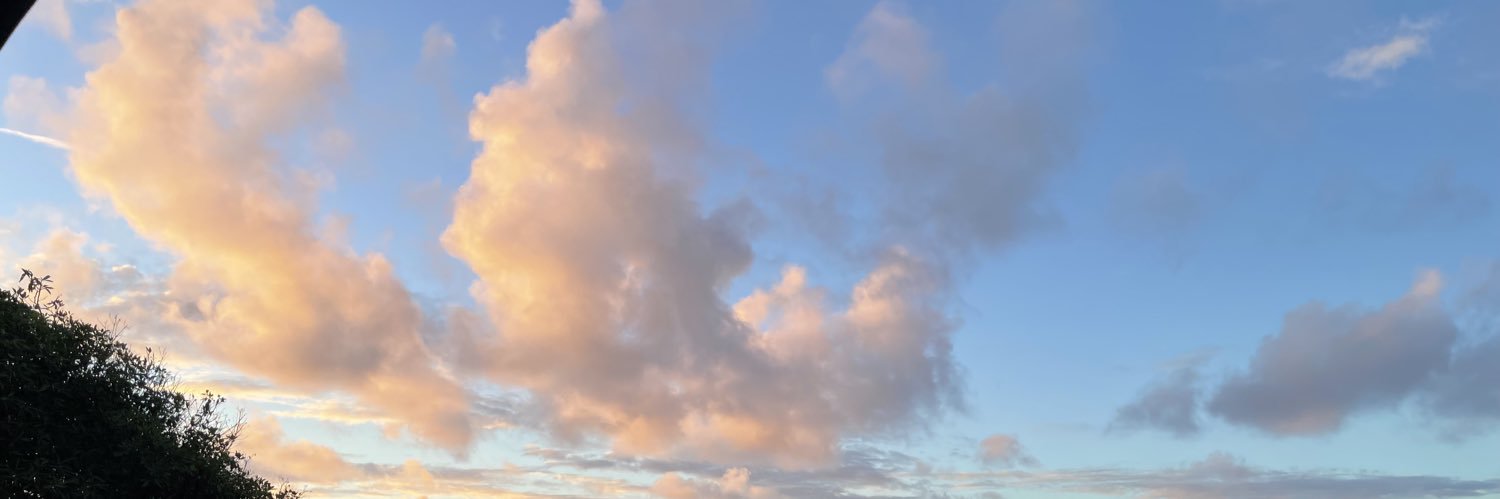 ffsJuliaa's profile banner image