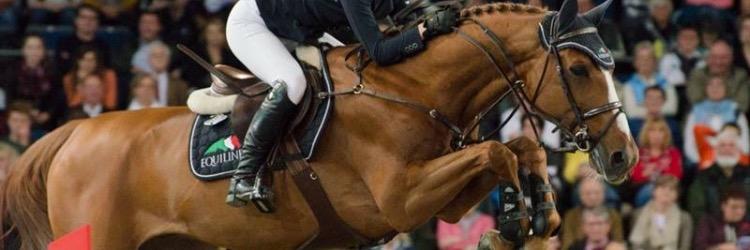 gooseydavis's profile banner image