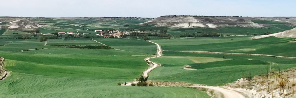 hilly_life's profile banner image
