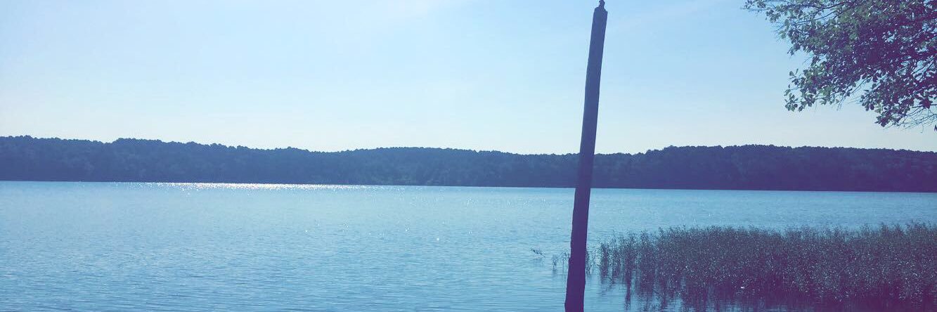 Olive ♊ banner