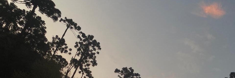 fenmmammana's profile banner image