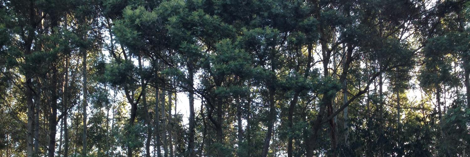 martins_ta's profile banner image