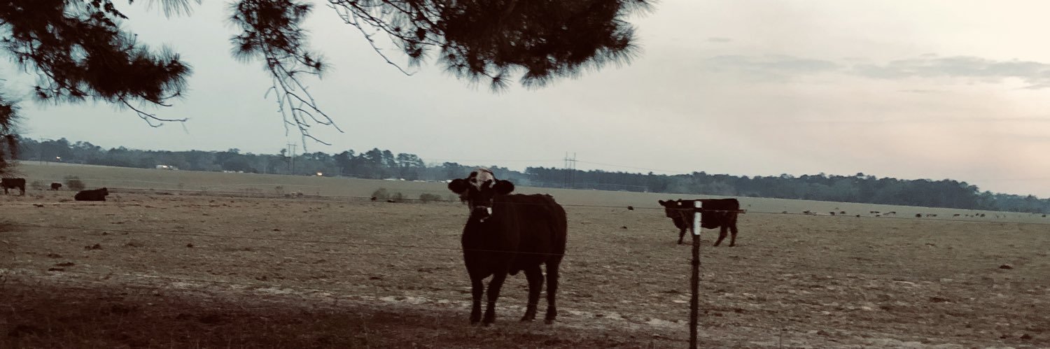 AustinMchughes's profile banner image