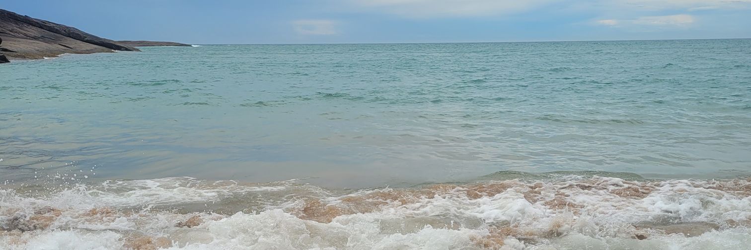 apdcvidal's profile banner image