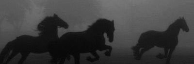 itsdyln_'s profile banner image