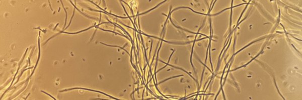 MoussaJenni Profile Banner