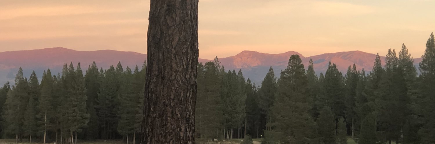 fetouner's profile banner image