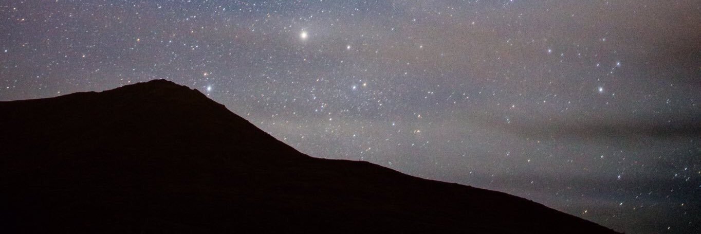 abbselyse's profile banner image