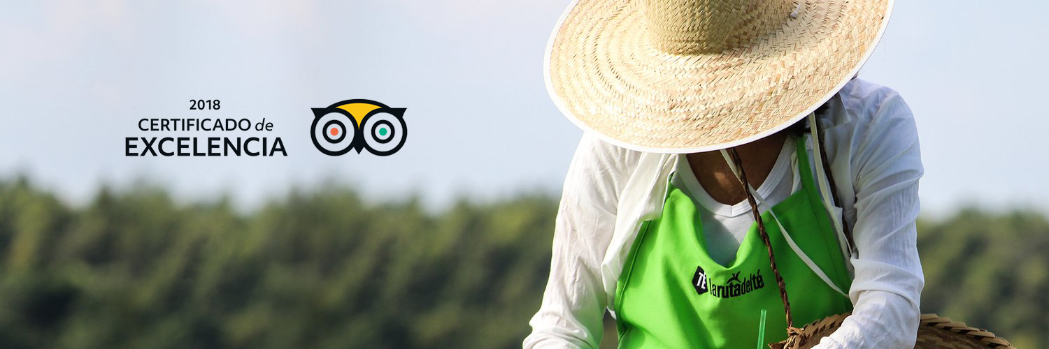 delteruta's profile banner image