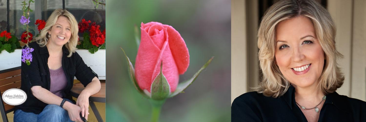 SBFinkelstein's profile banner image