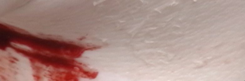 Pablo Cianca banner