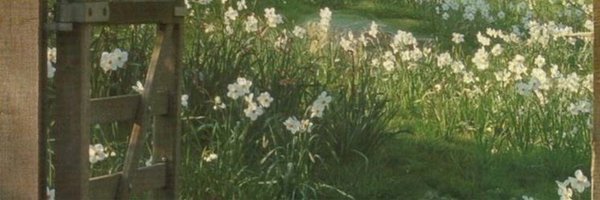 peruvianVM Profile Banner