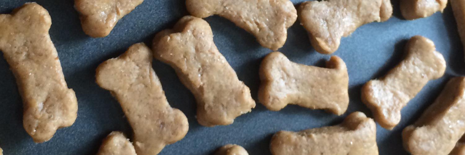 PawsOffTreats's profile banner image