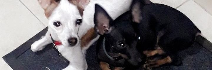 Joycemar_pc's profile banner image