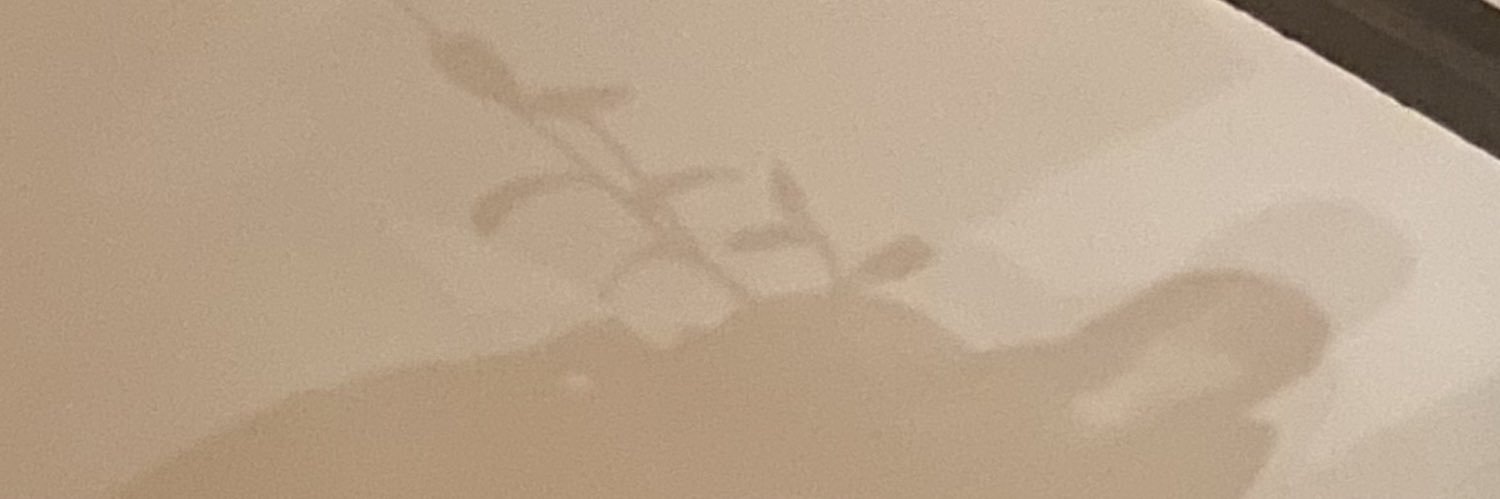 luisaaaamar's profile banner image