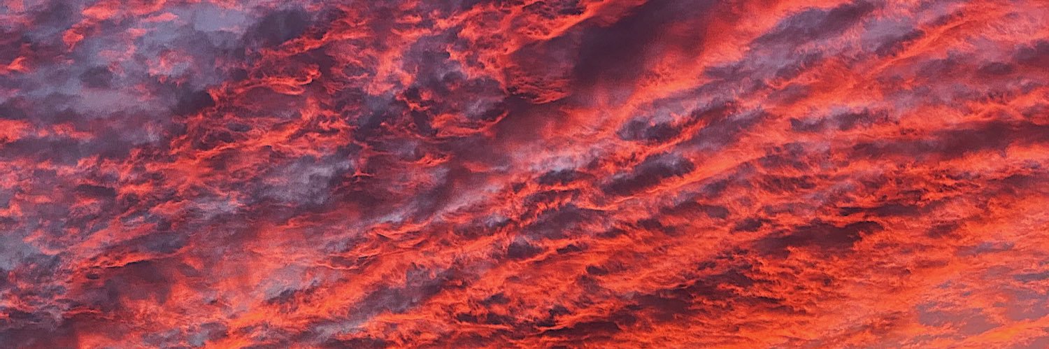 spleeborg_'s profile banner image