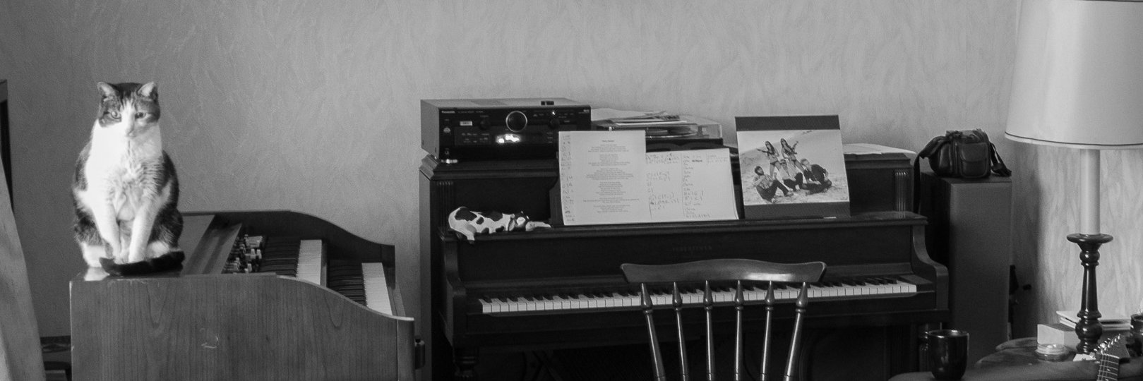 Matt Weidinger banner