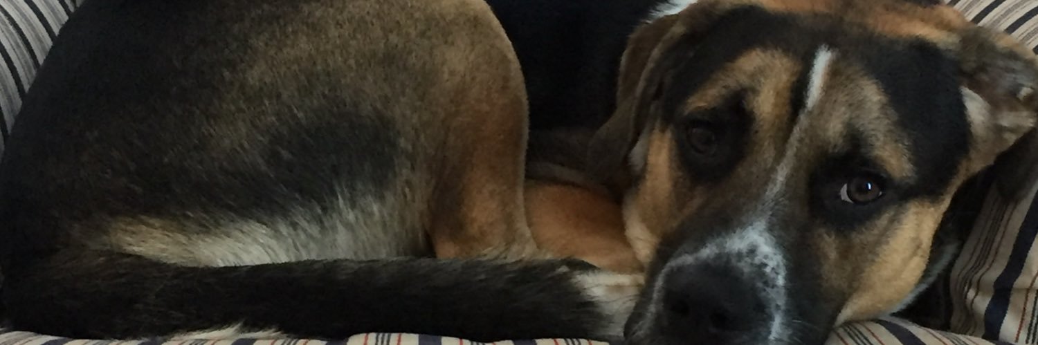 ViztheWizz's profile banner image