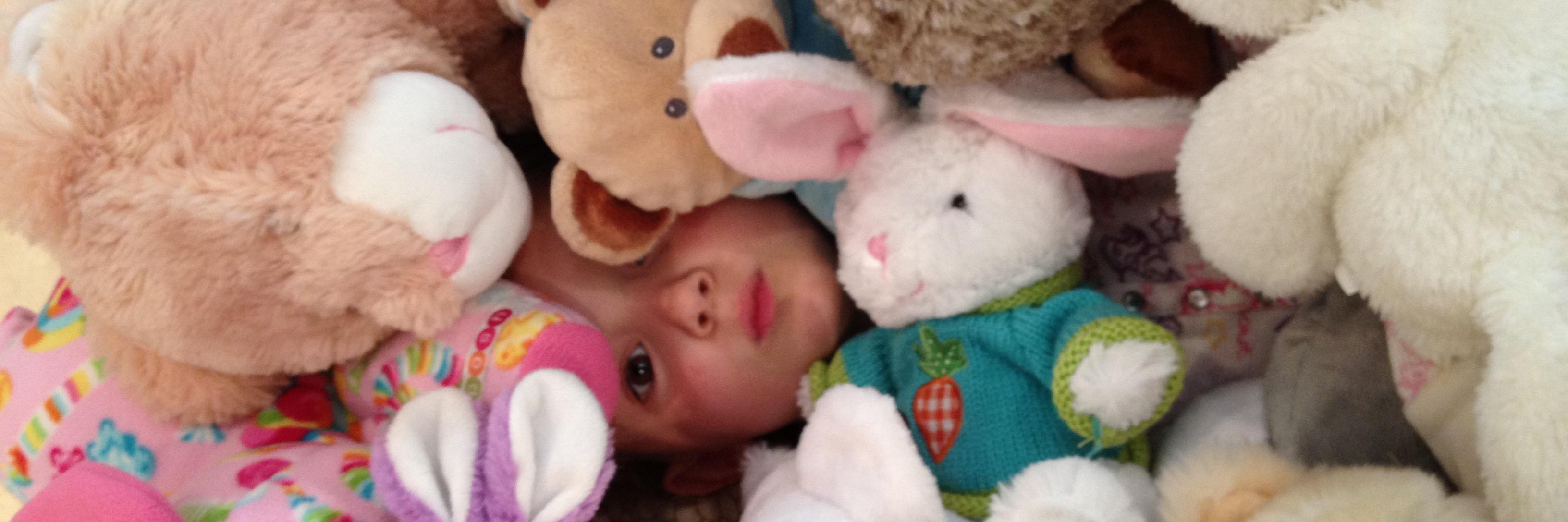 MomSlaughter's profile banner image