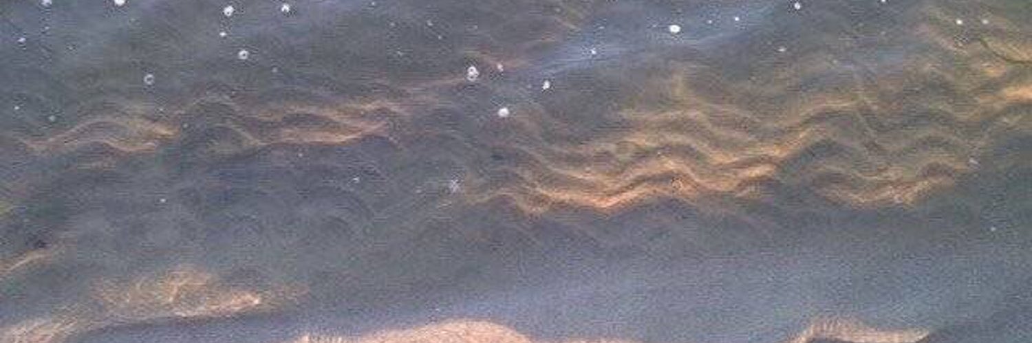 luvsmdc's profile banner image