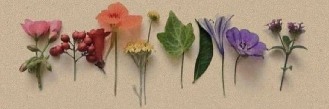 Mohsin263's profile banner image