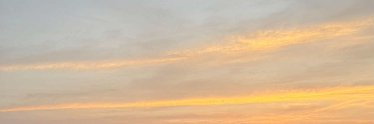 mrnttrv's profile banner image