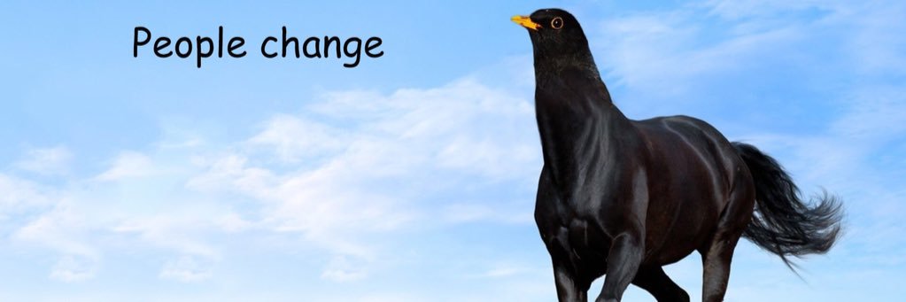 Armchair_PHD's profile banner image