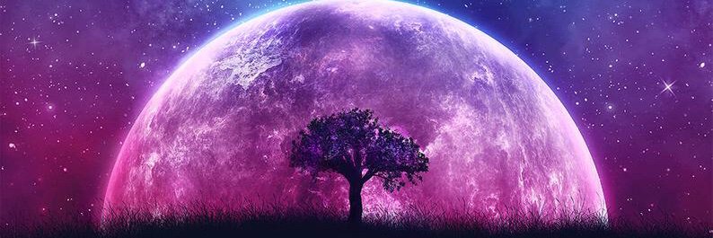 Cerebrexia's profile banner image