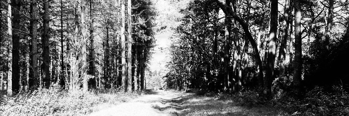 Amanda Against Abuse banner