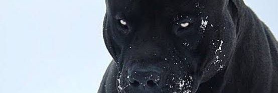 ajborne's profile banner image