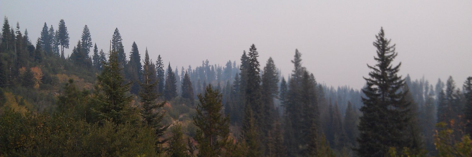 Anna_Bauerr's profile banner image