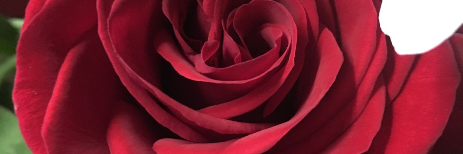 Mom2twoAs's profile banner image