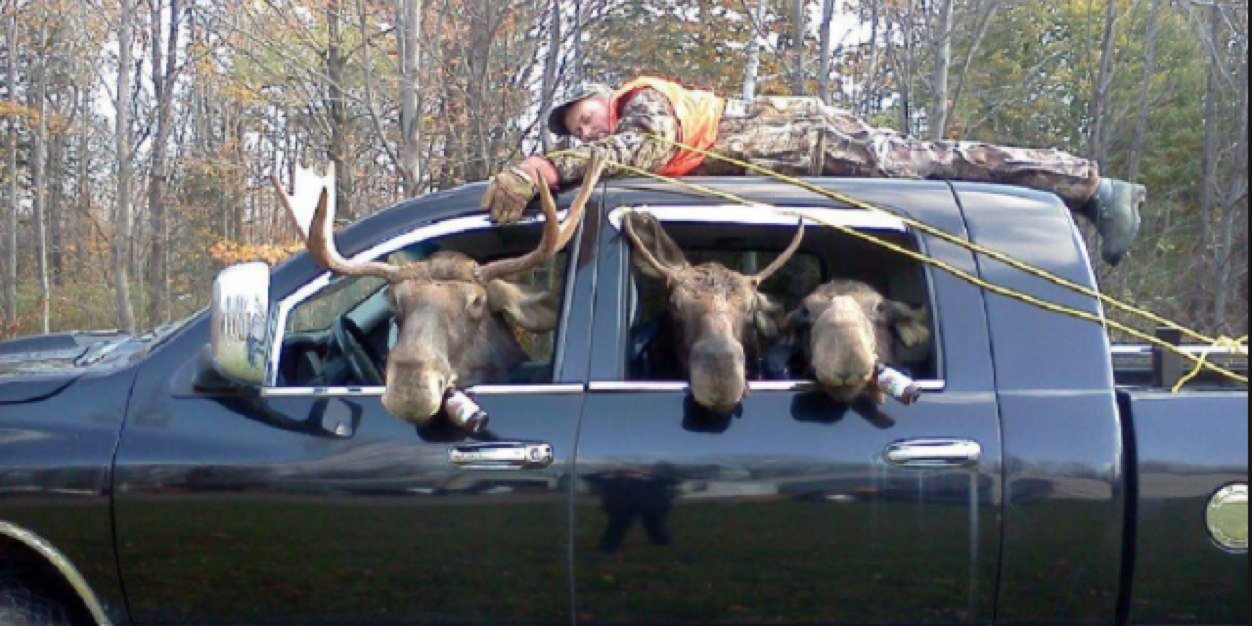 HelloMrMoose's profile banner image