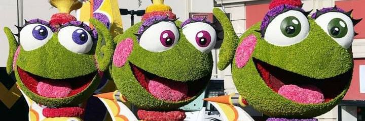 StPeteSandi's profile banner image