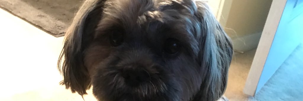 _iWillToo's profile banner image