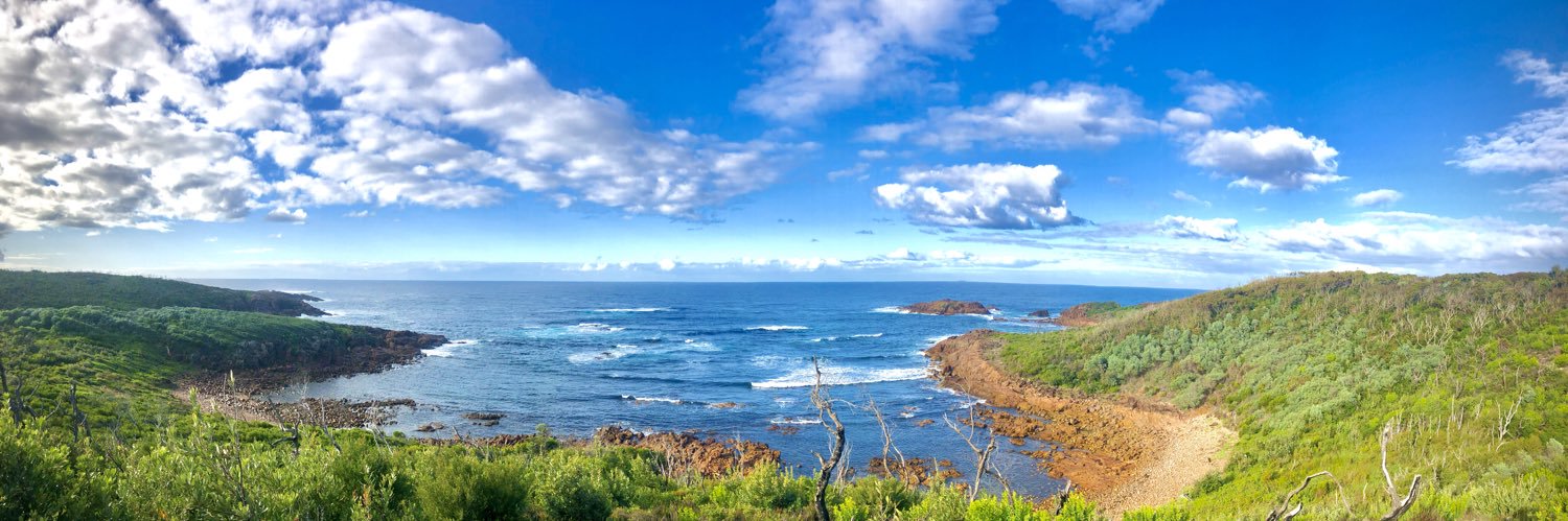 Dr Leanne Fray banner