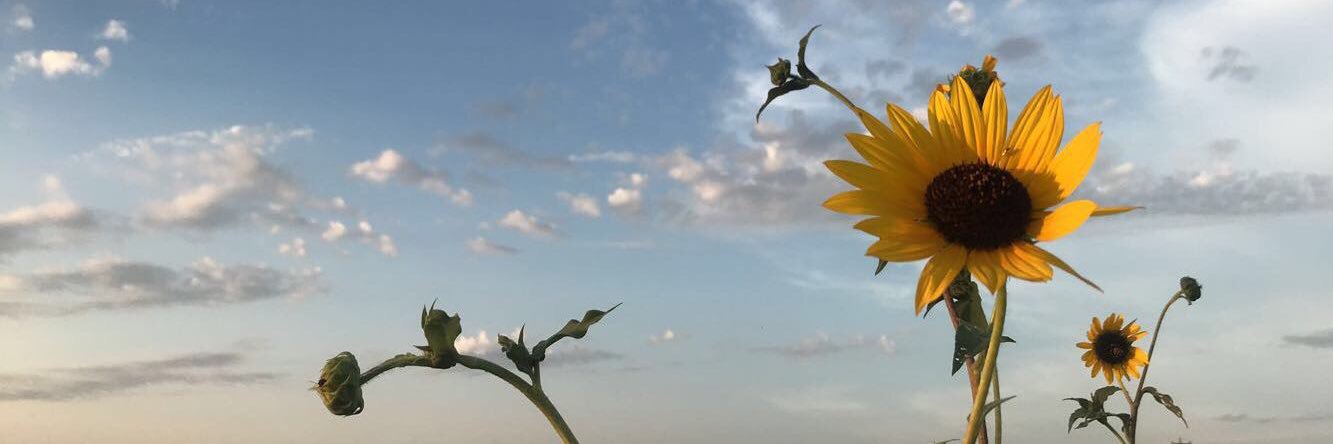 m_sulls's profile banner image