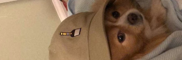 jeezuspodcast's profile banner image