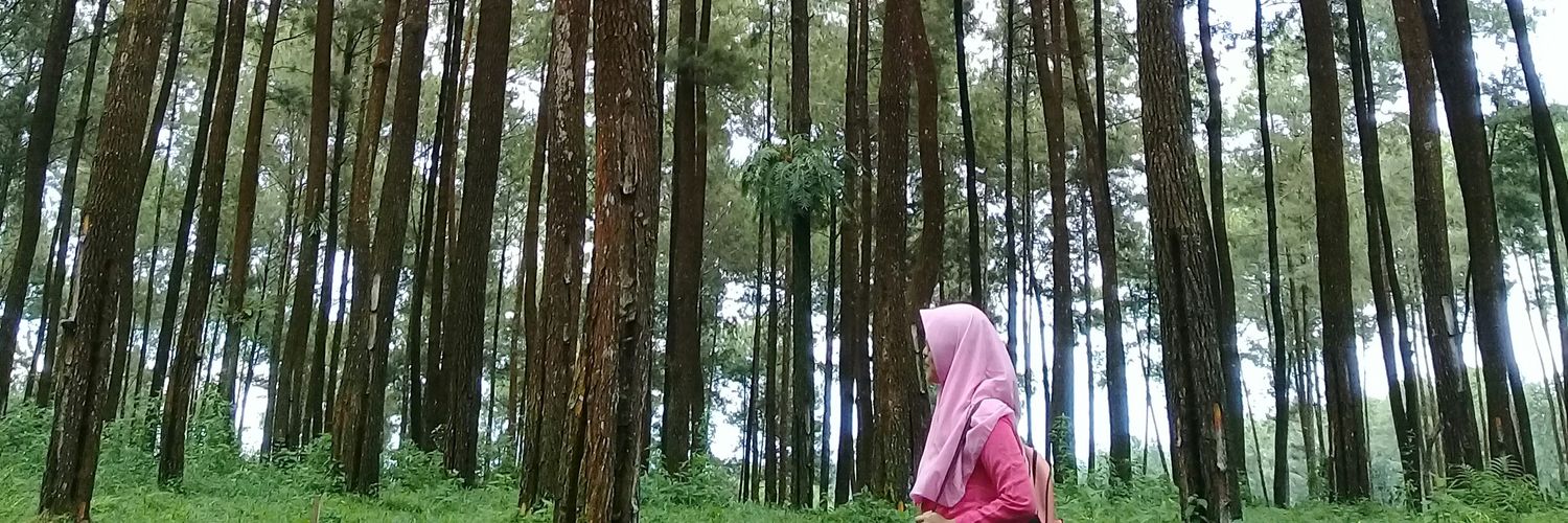 2012Radit's profile banner image