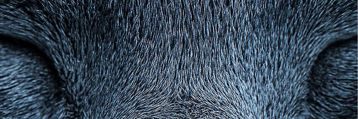 MmaXximeC's profile banner image