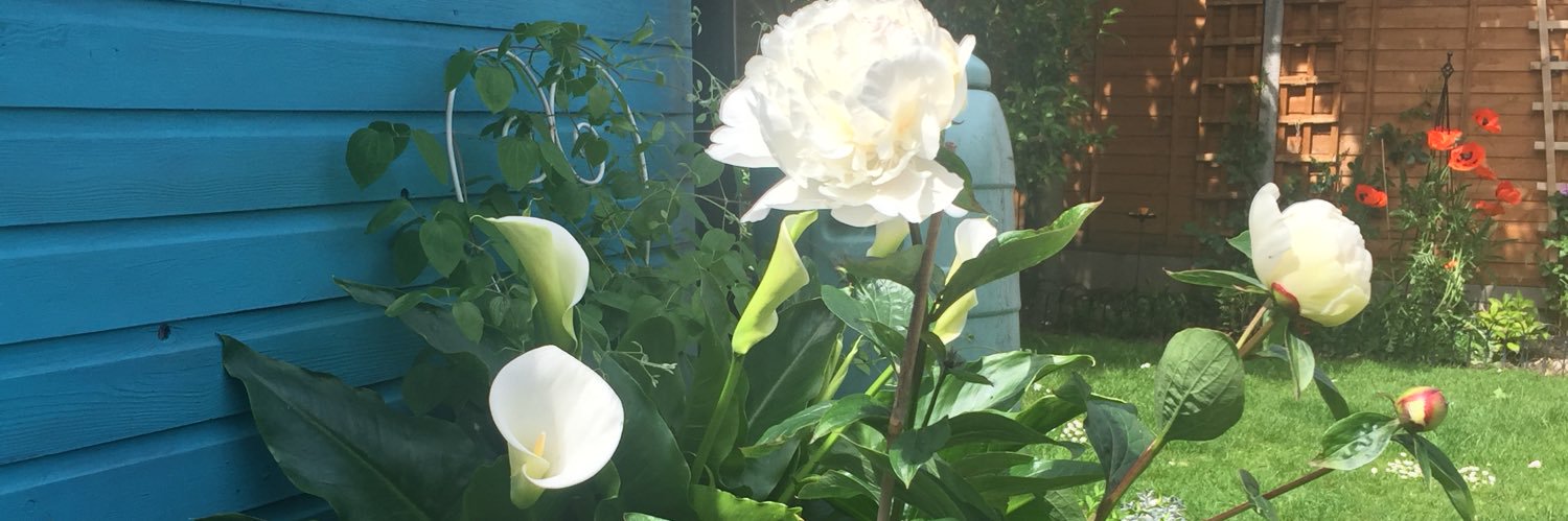 Catherine Hughes banner