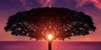 yetblack's profile banner image