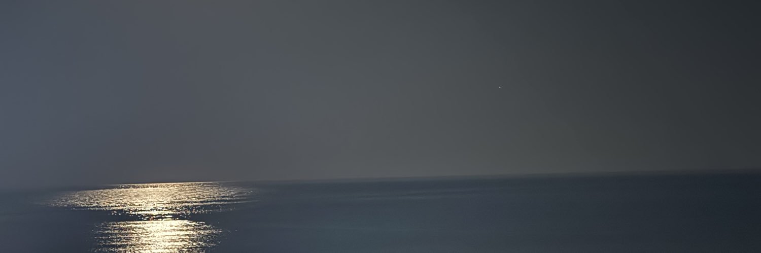 tesedeanu's profile banner image