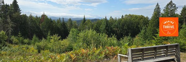 Lisapatb Profile Banner