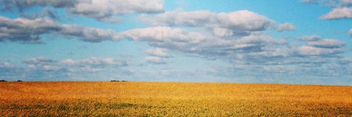 LLAshburn's profile banner image