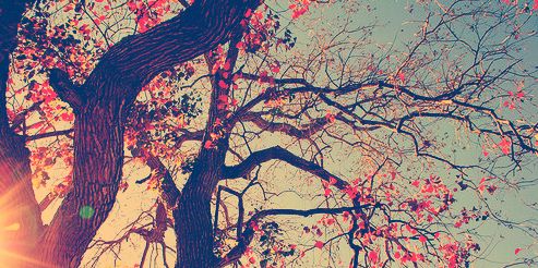 Maaybs_'s profile banner image