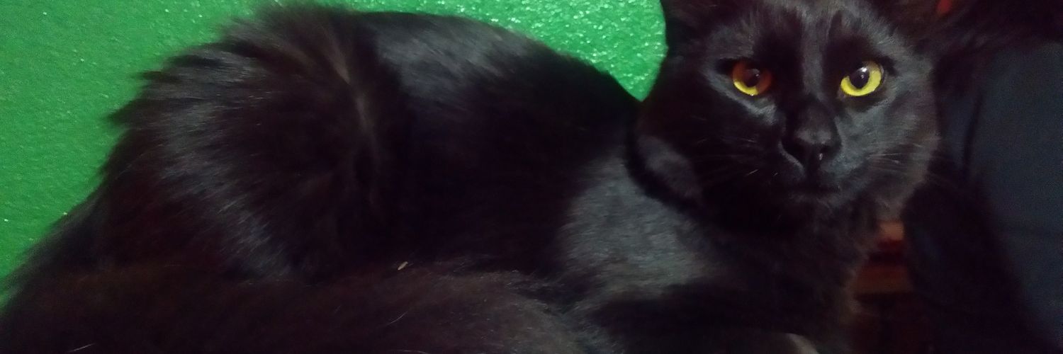 HuguitoA7B's profile banner image