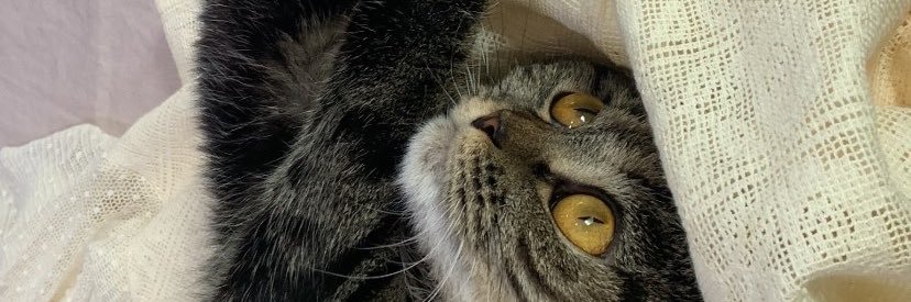 anfiields's profile banner image