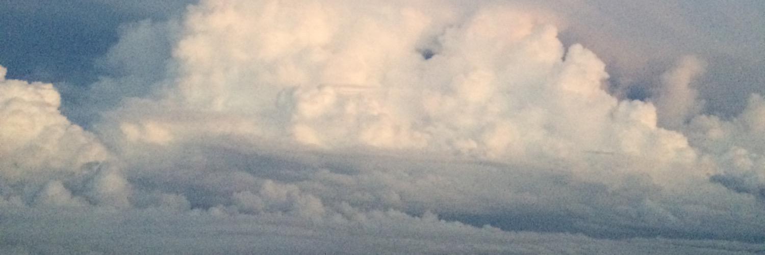 moonrangerlaura's profile banner image